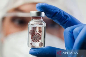 Virus Nipah, penyakit yang sedang menjadi perhatian global