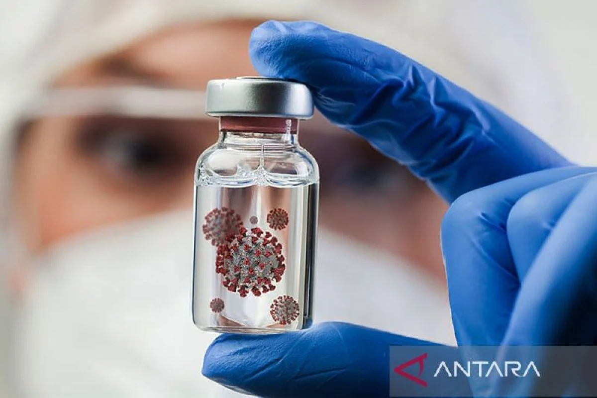 Virus Nipah, penyakit yang sedang menjadi perhatian global